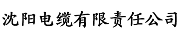 樱桃网进入电缆厂logo